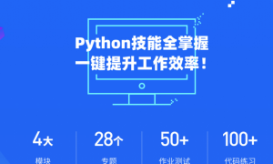 微专业-Python实用技能-职场人必学的Python技能课【价值2800元】