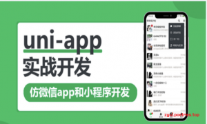 WY-uni-app多端实战系列课程 【七门合集】