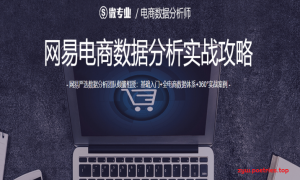 微专业-电商数据分析师【价值1800元】