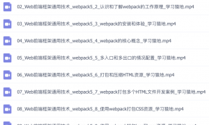 新版Webpack5实战与应用视频教程(566M)