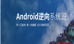 逆向合集-易锦安卓11期完整版、滴水逆向破解就业班、NCK逆向完整版等|无秘