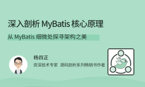 深入剖析 MyBatis 核心原理