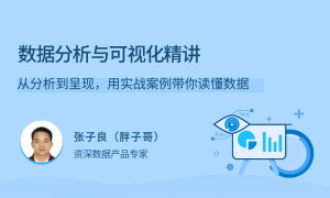 数据分析与可视化精讲