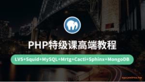 80G容量全新版本PHP架构师就业班