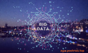大数据企业级项目-蜂鸟DMP广告系统(3.29G)