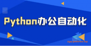 职场人必学的Python技能课(10G)